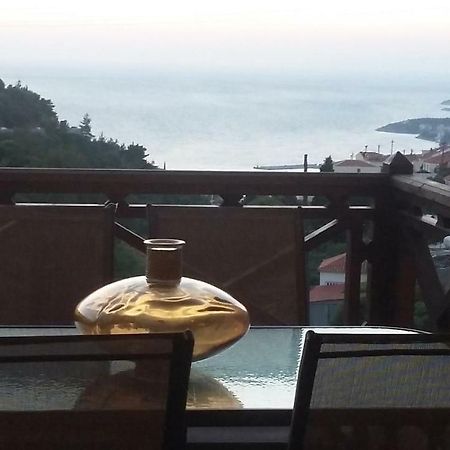 Villa Paradise Samos Town Zewnętrze zdjęcie
